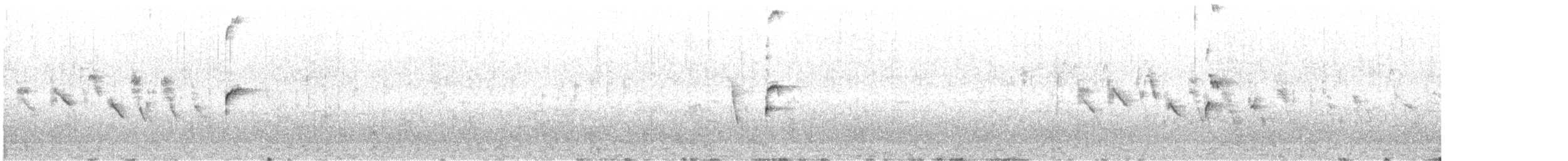 Sporophile à col double - ML635717965