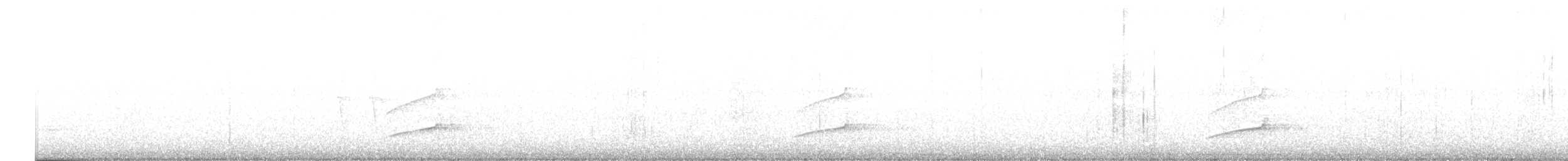 Шишкар ялиновий - ML635720370