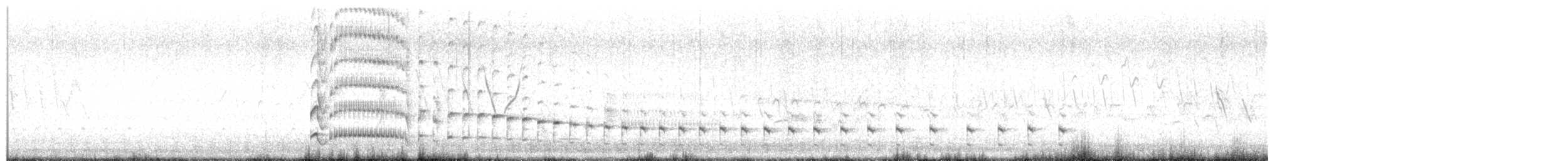 ברודית אמריקנית - ML635720782