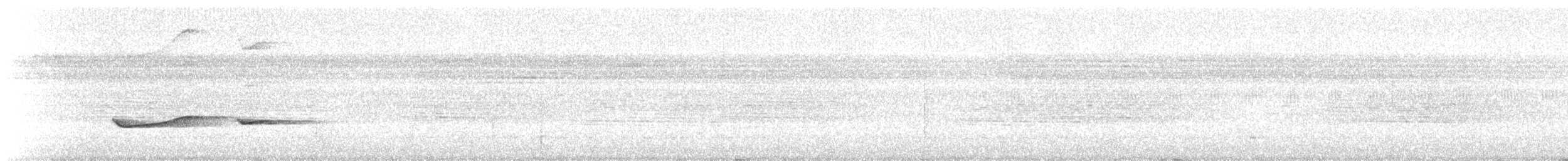 Northern Schiffornis - ML635721056