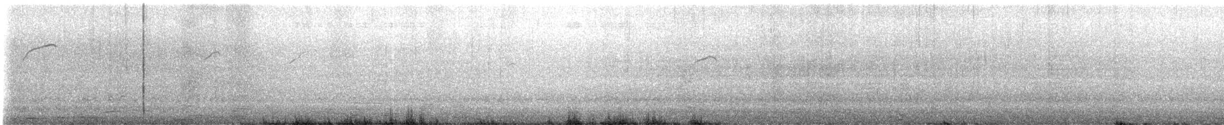 Pigeon Guillemot - ML635721833