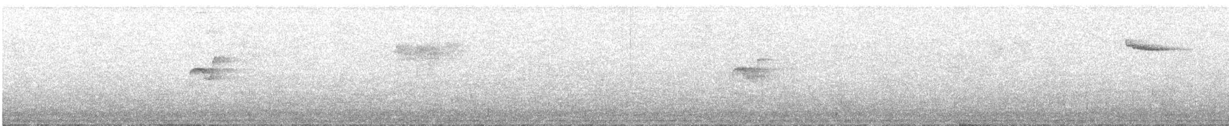 Moucherolle obscur - ML635722907
