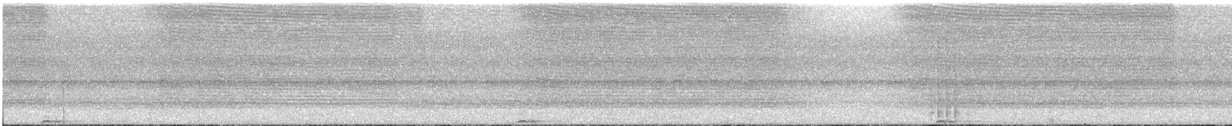 Rufous Motmot - ML635724581