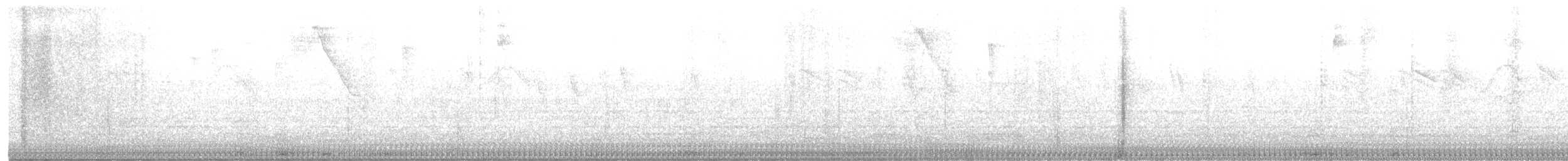 Whiskered Wren - ML635725587
