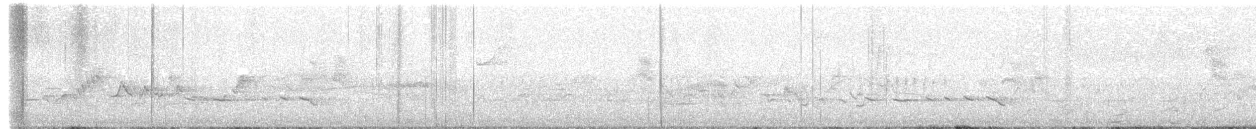 Eastern Warbling Vireo - ML635726267