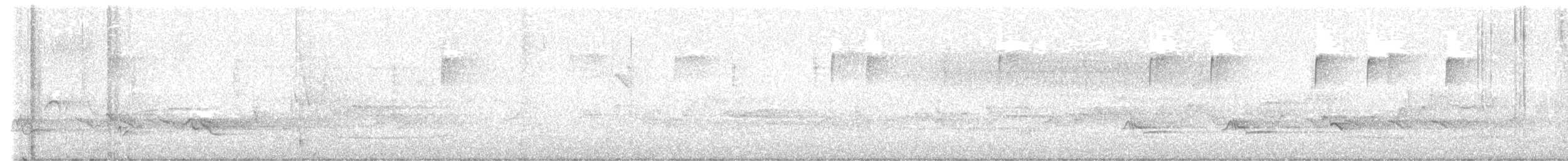 Worm-eating Warbler - ML635726287