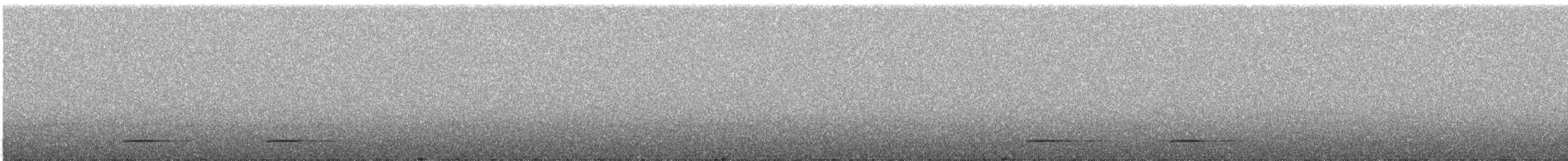 Chouette leptogramme - ML635726723