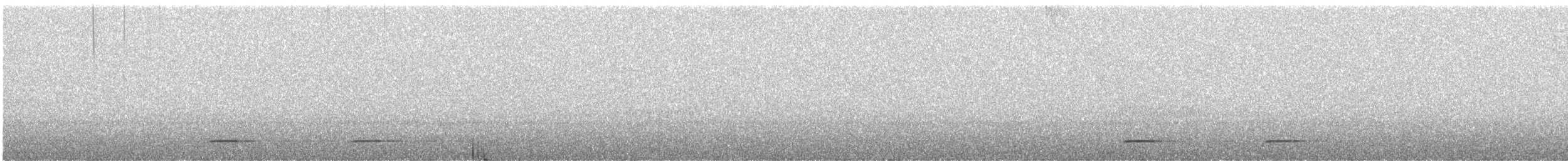 Chouette leptogramme - ML635726762