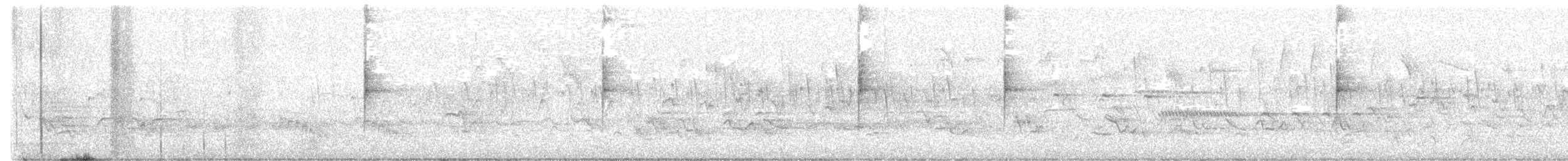 Northern Waterthrush - ML635727079