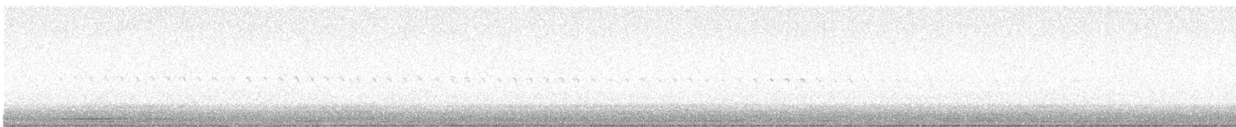 Качка sp. - ML635727380