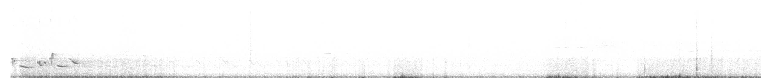 Scott's Oriole - ML635728960