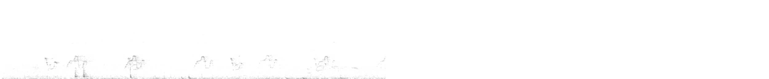 Pink-eared Duck - ML635729312