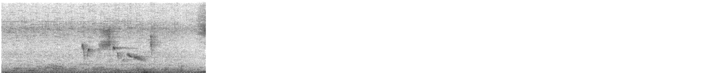 White-eyed Vireo - ML635730491