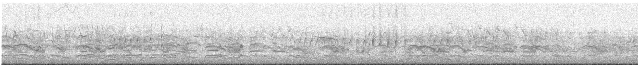 Sterna comune - ML635731895