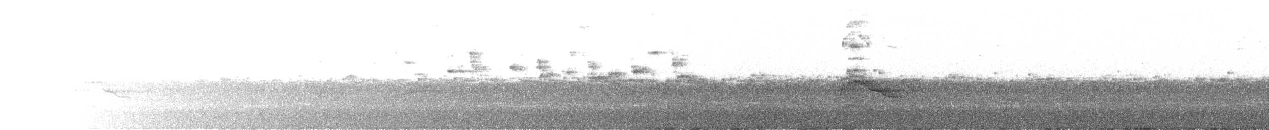 Roadside Hawk - ML635731995