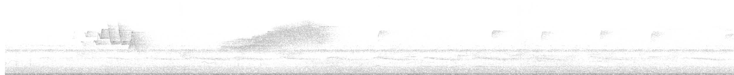 gulparula (aestiva gr.) - ML635732486