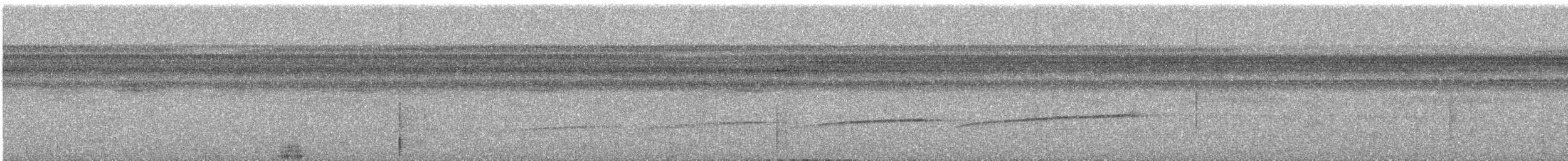 Common Scale-backed Antbird - ML635734422