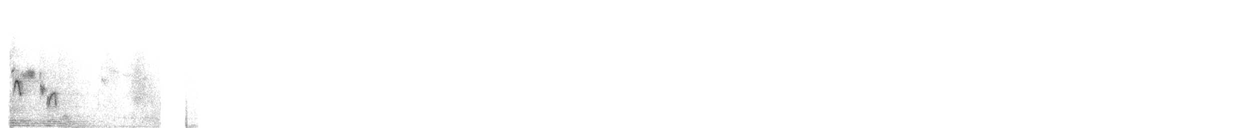 Orange-billed Nightingale-Thrush - ML635735444