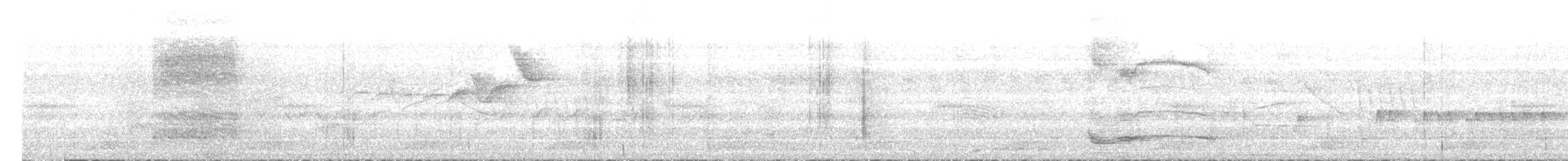 Solitary Black Cacique - ML635735530