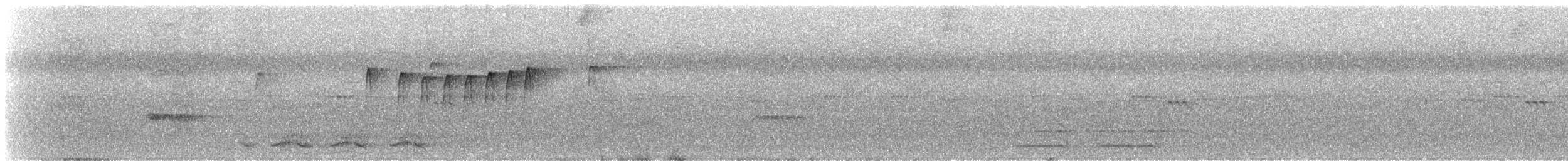 Northern Plain-Xenops - ML635737863