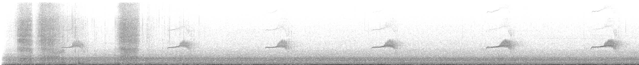 Western Wood-Pewee - ML635737866