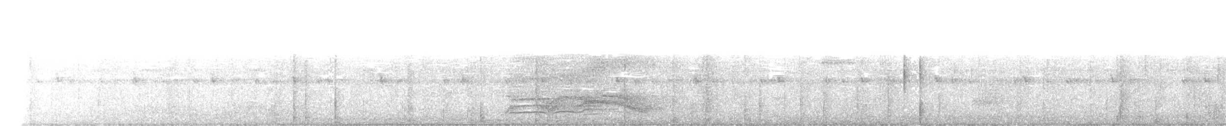 Spotted Catbird - ML635741098