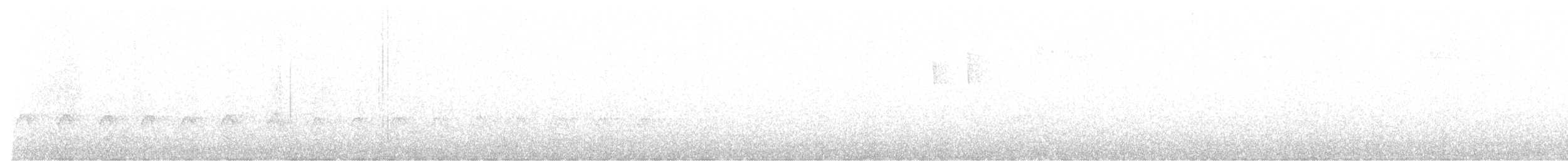 Pione noire - ML635741229
