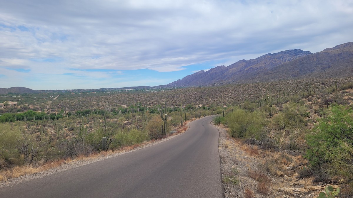 null - ML635741598