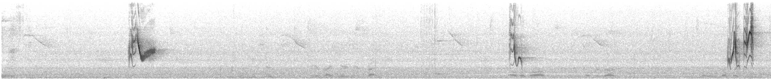 Віреон коста-риканський - ML635742300