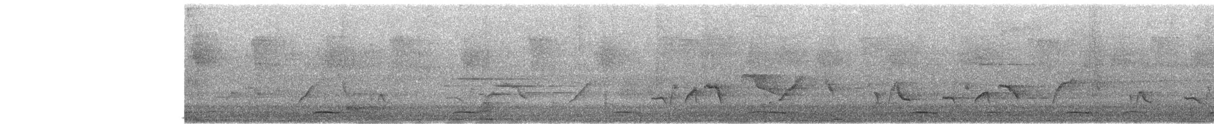 セアカウズラバト - ML635742323