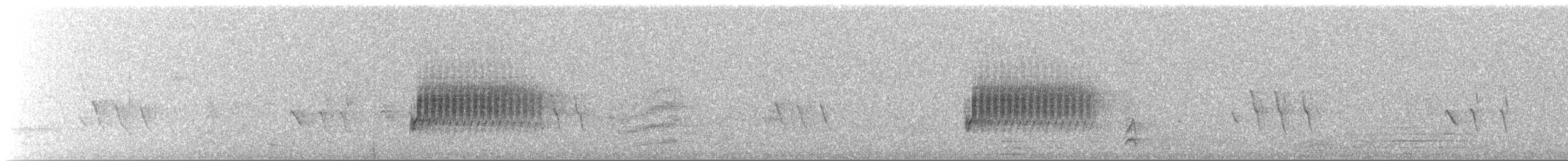 Тауї плямистий - ML63574261