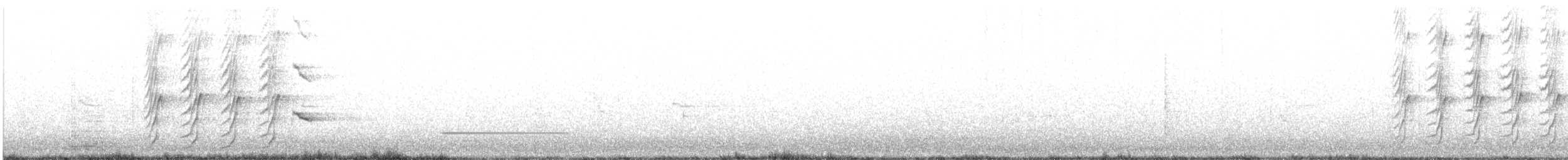 Great-tailed Grackle - ML635743291