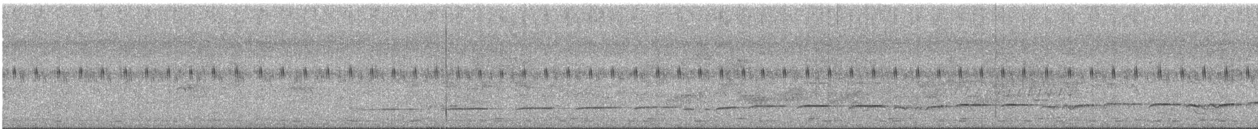 Banded Bay Cuckoo - ML635743606