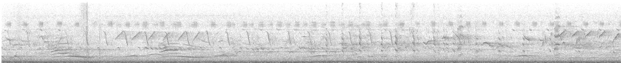 טווס הודי - ML635743802