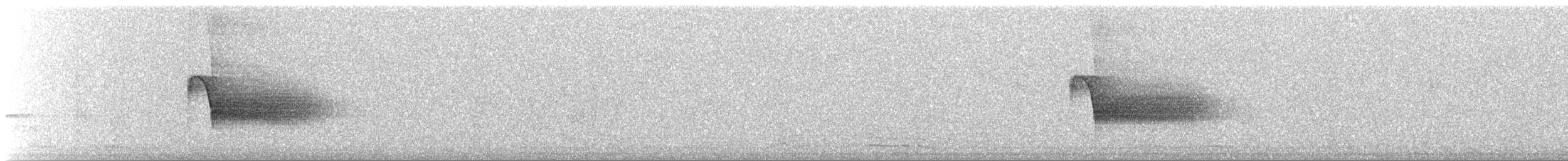 Тауї плямистий - ML63574621