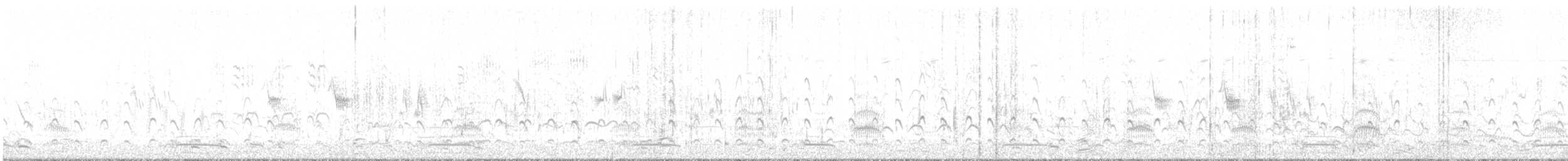 Black-tailed Godwit (European) - ML635749658