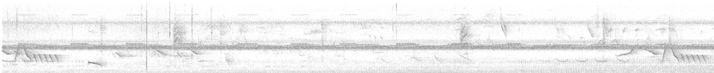 Lance-tailed Manakin - ML635749791