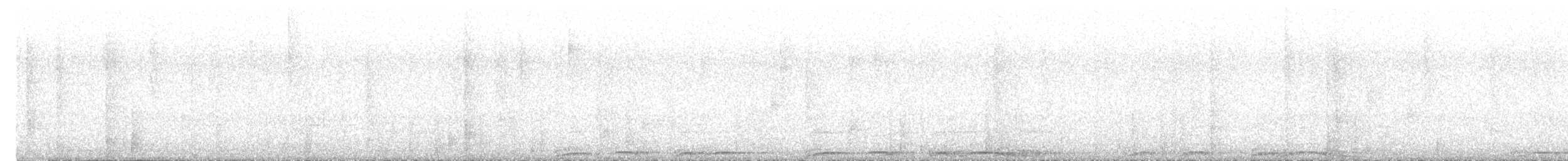 Barred Owl - ML635749810