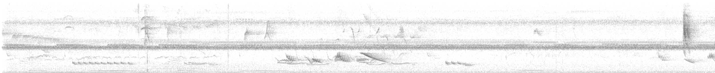 White-necked Thrush - ML635749966
