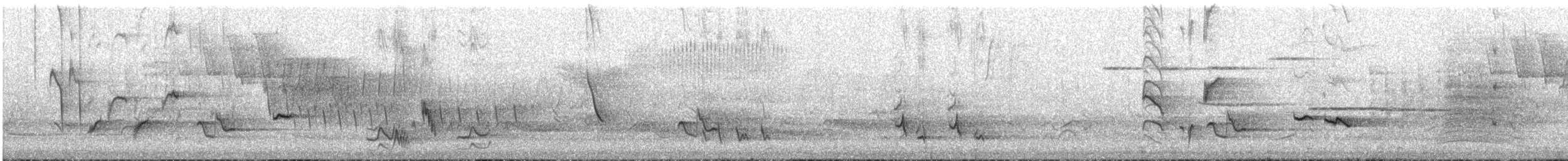 brunspottefugl - ML635750531