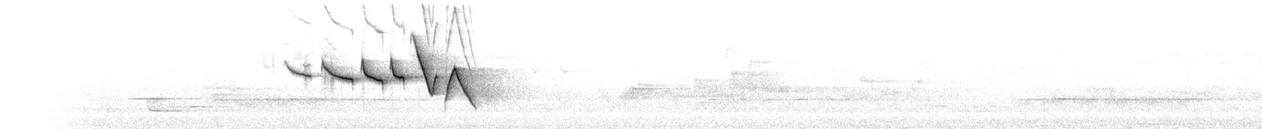 Swainson's Warbler - ML635752090