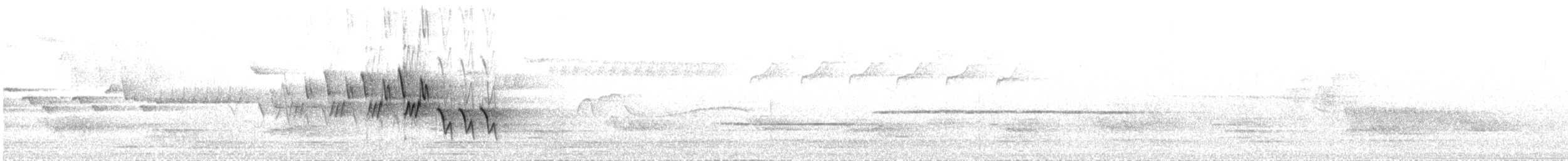 Graukopf-Waldsänger - ML635753489