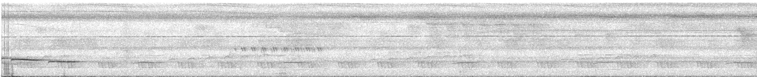 Short-tailed Babbler - ML635753923