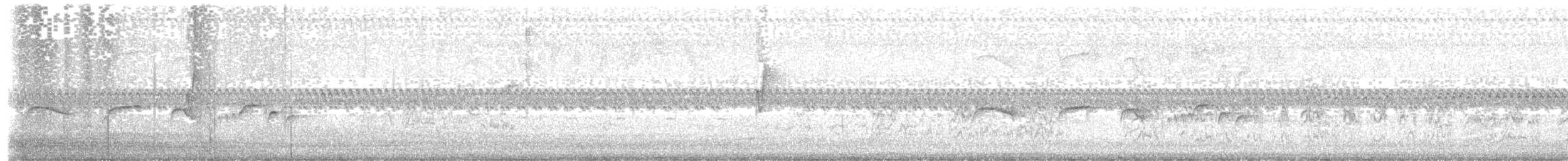 Southern Antpipit - ML635753958
