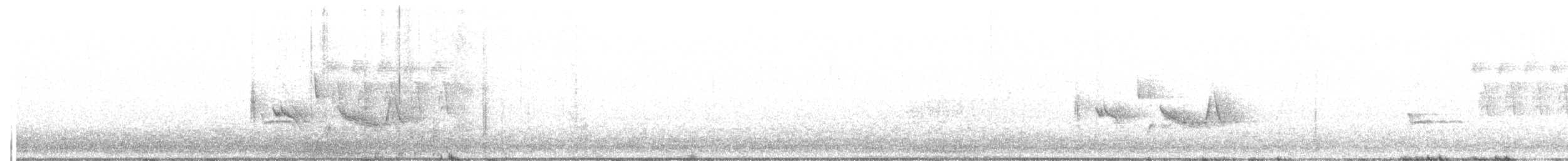 White-eyed Vireo - ML63575411