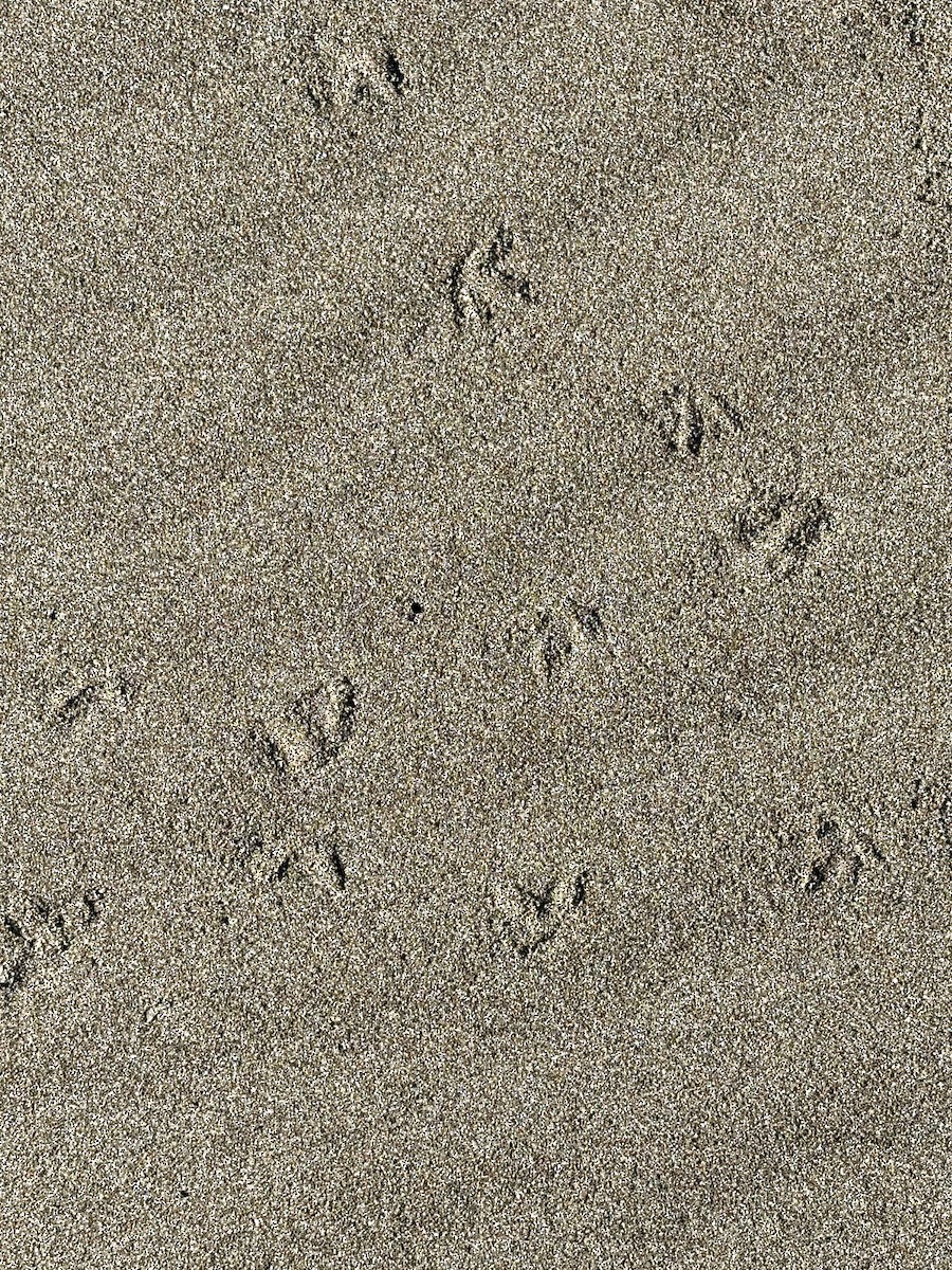 null - ML635755196