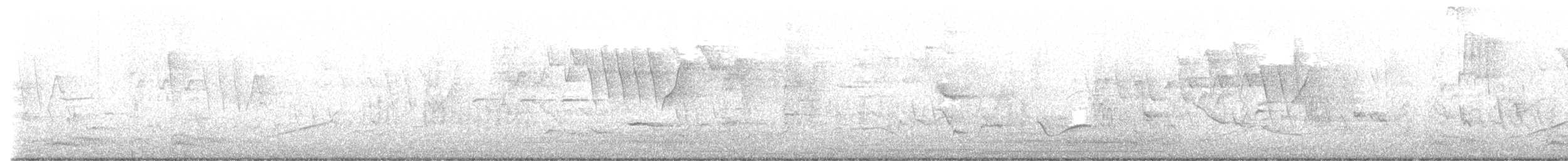Northern Waterthrush - ML635755285