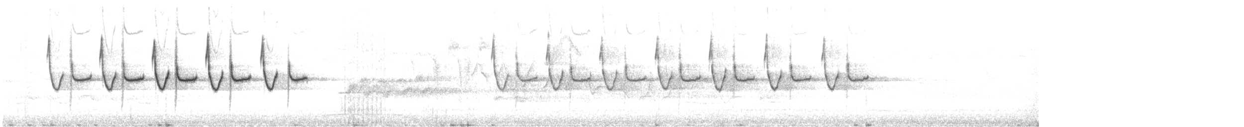 ירגזי שחור (בריטי) - ML635758082