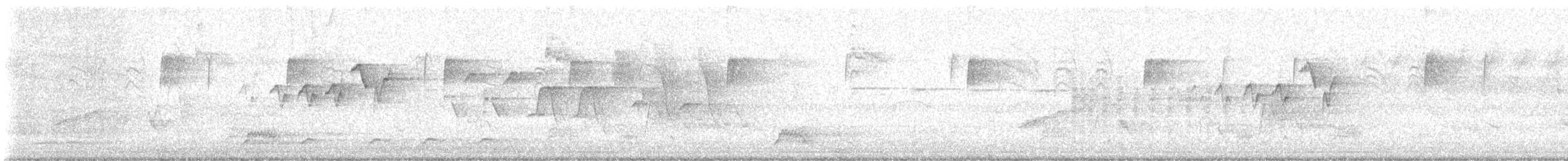 Magnolia Warbler - ML635758667