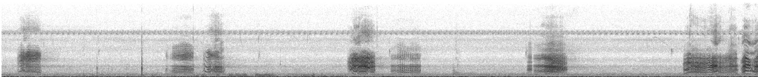 緋紅金剛鸚鵡 - ML635759844